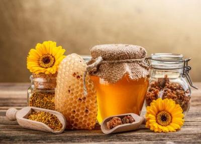 آشنایی با 22 نوع عسل و خواص درمانی آن ها